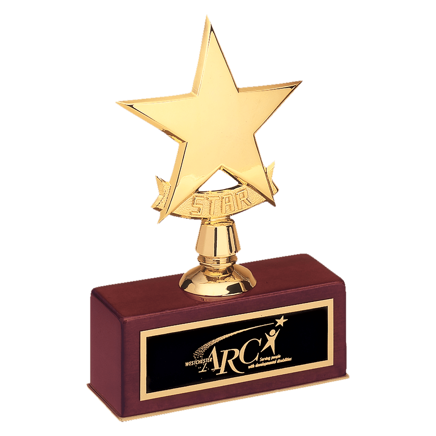 Polished Metal Gold Star Cast on Rosewood Piano Finish Base
