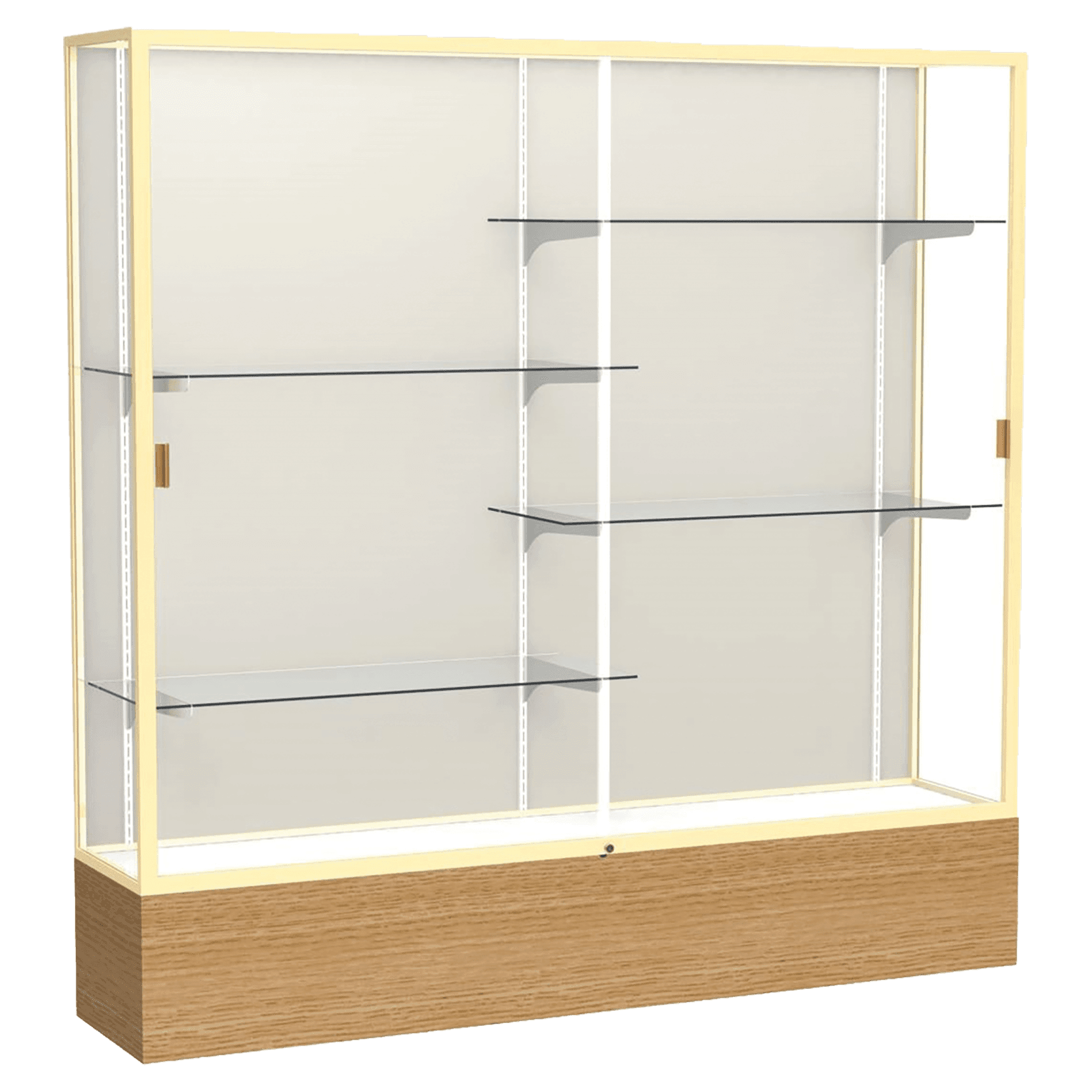 Reliant Series Display Case - DSPL06