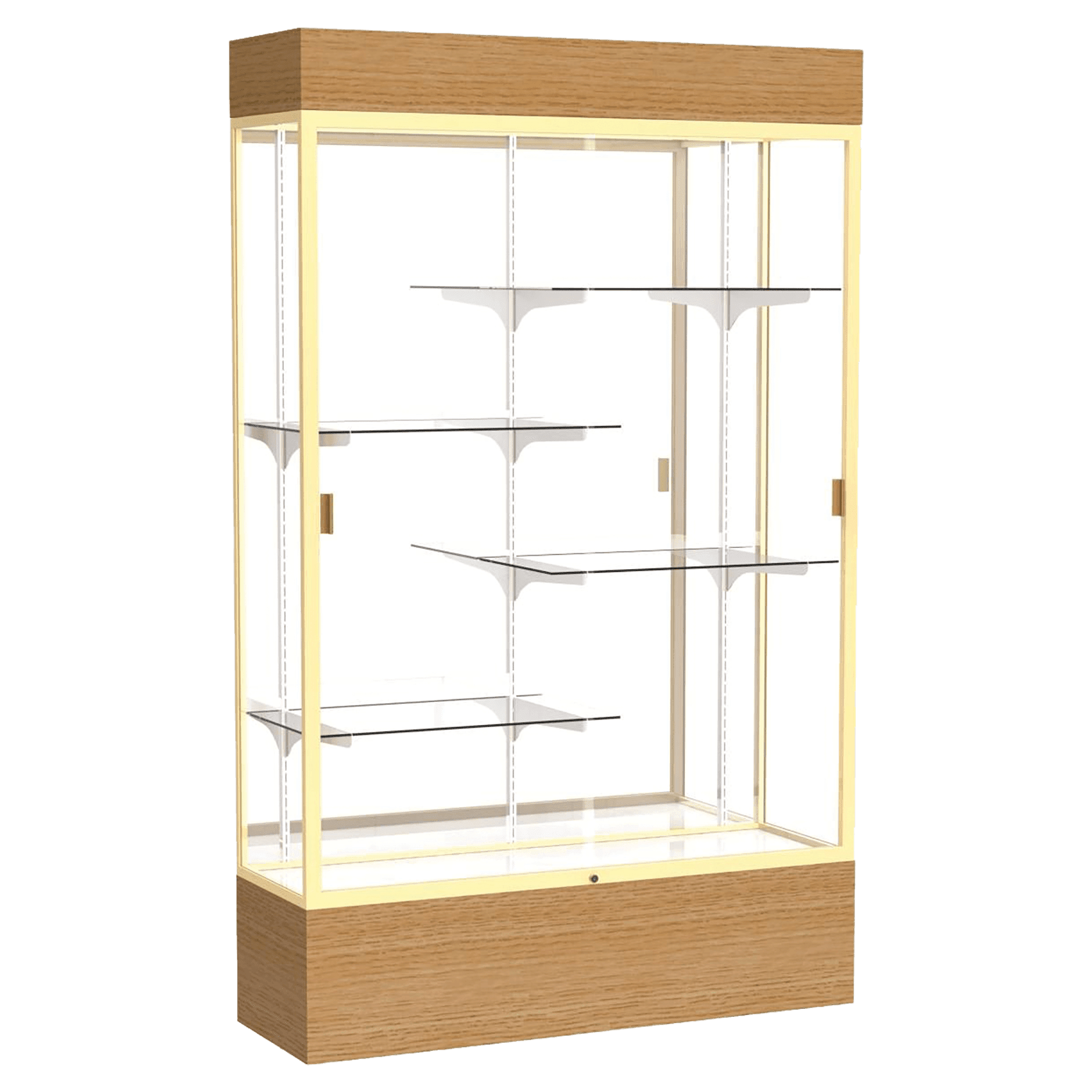 Reliant Series Display Case with Lighting - DSPL07