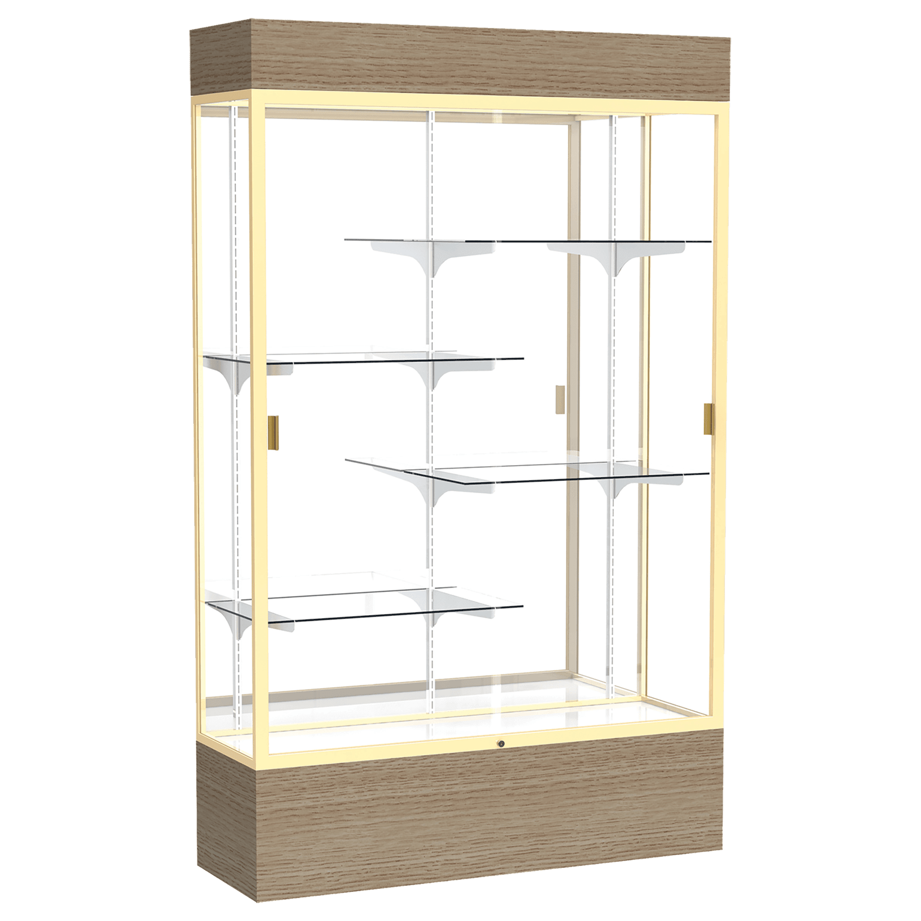 Reliant Series Display Case with Lighting - DSPL07