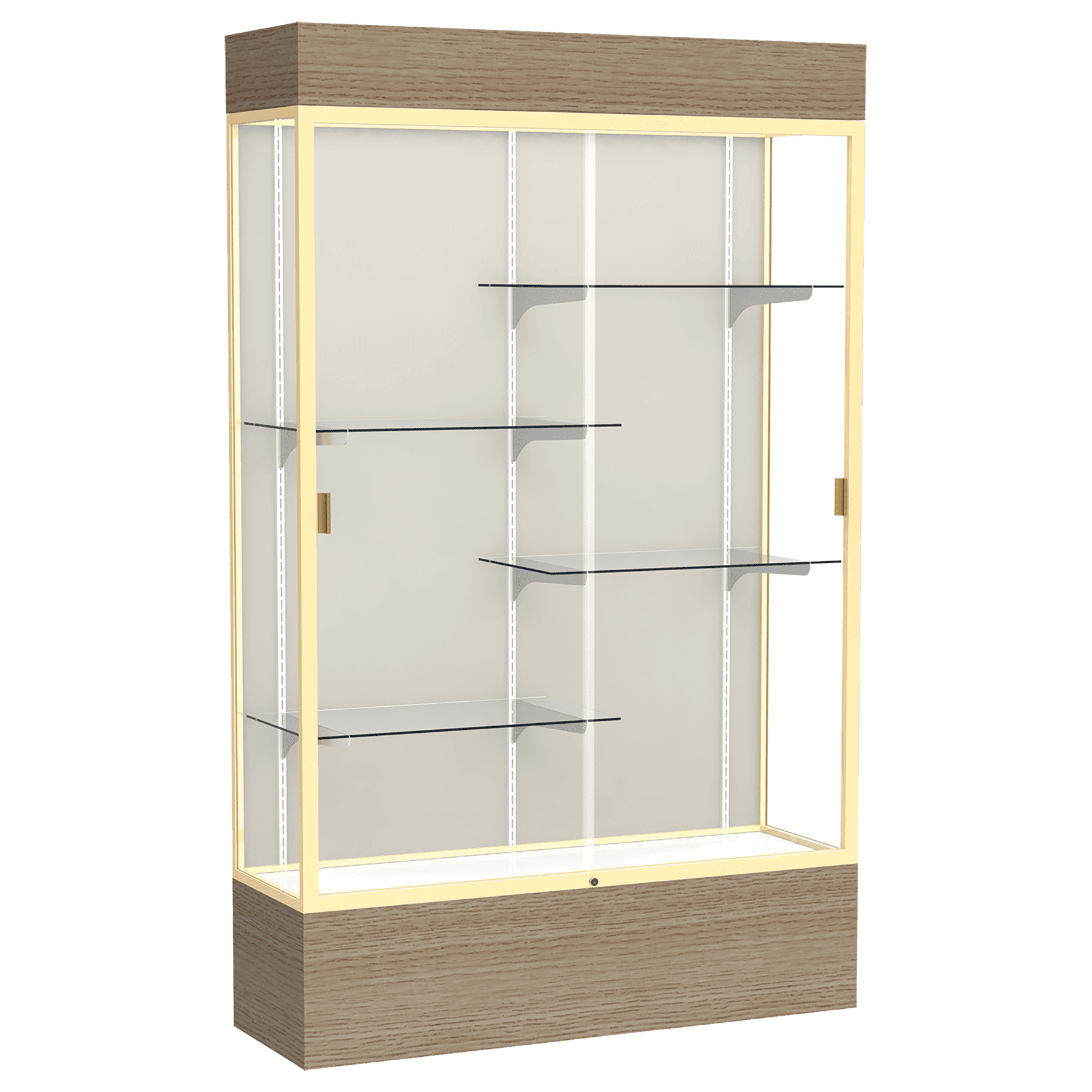 Reliant Series Display Case with Lighting - DSPL07