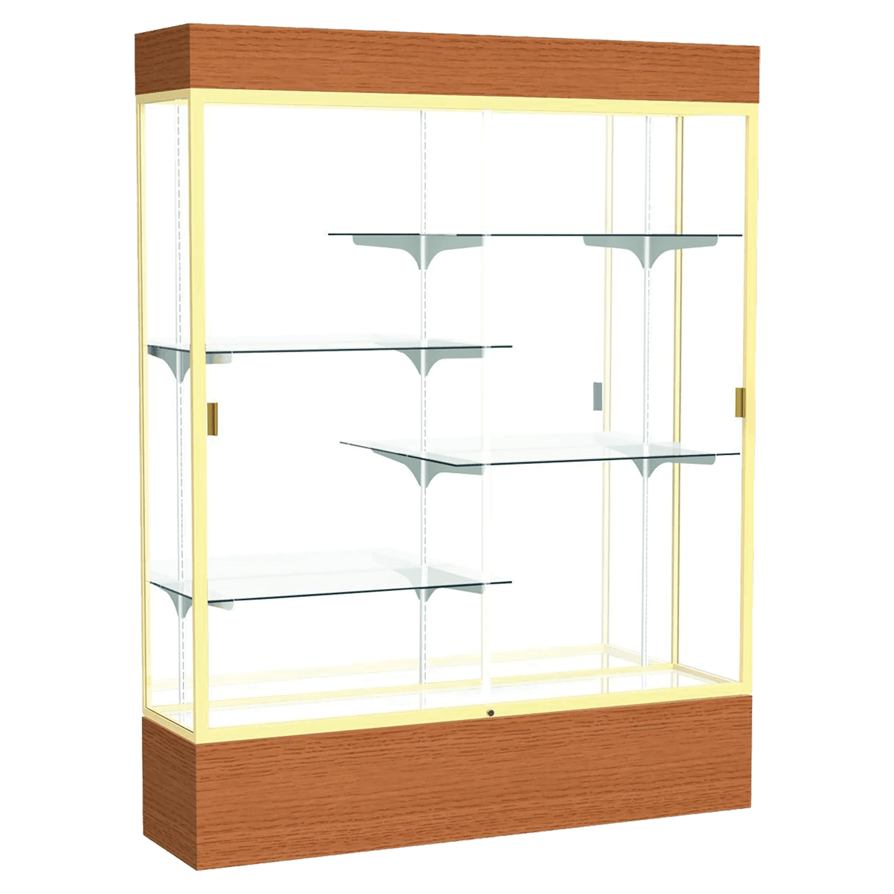 Reliant Series Display Case with Lighting - DSPL07