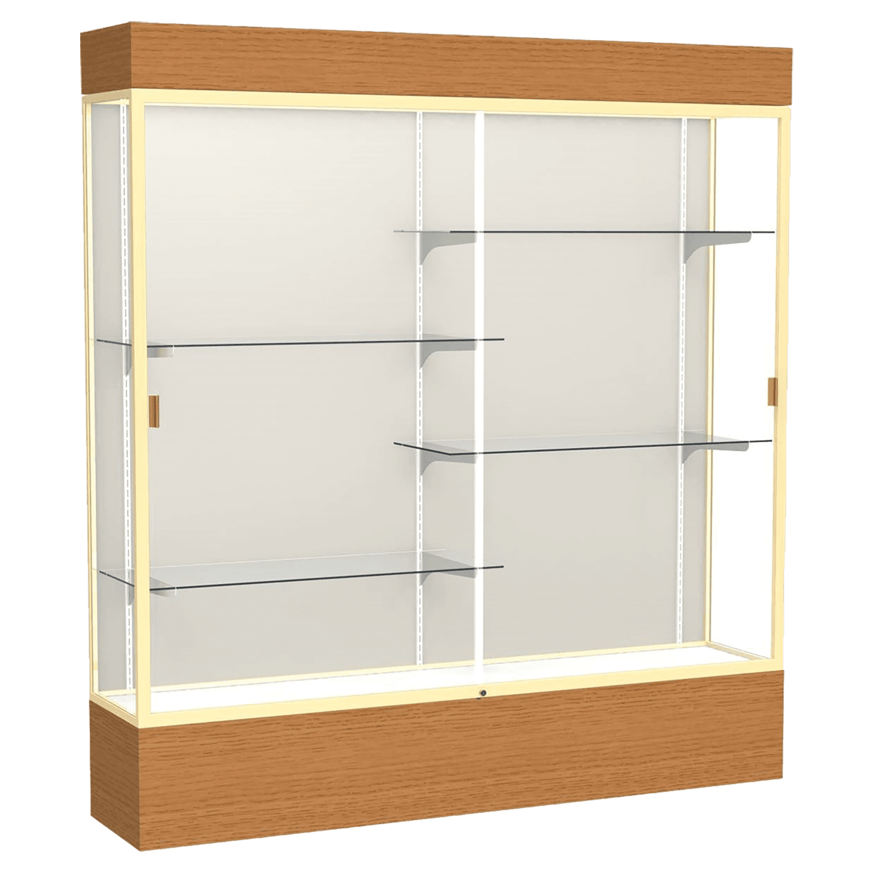 Reliant Series Display Case with Lighting - DSPL07