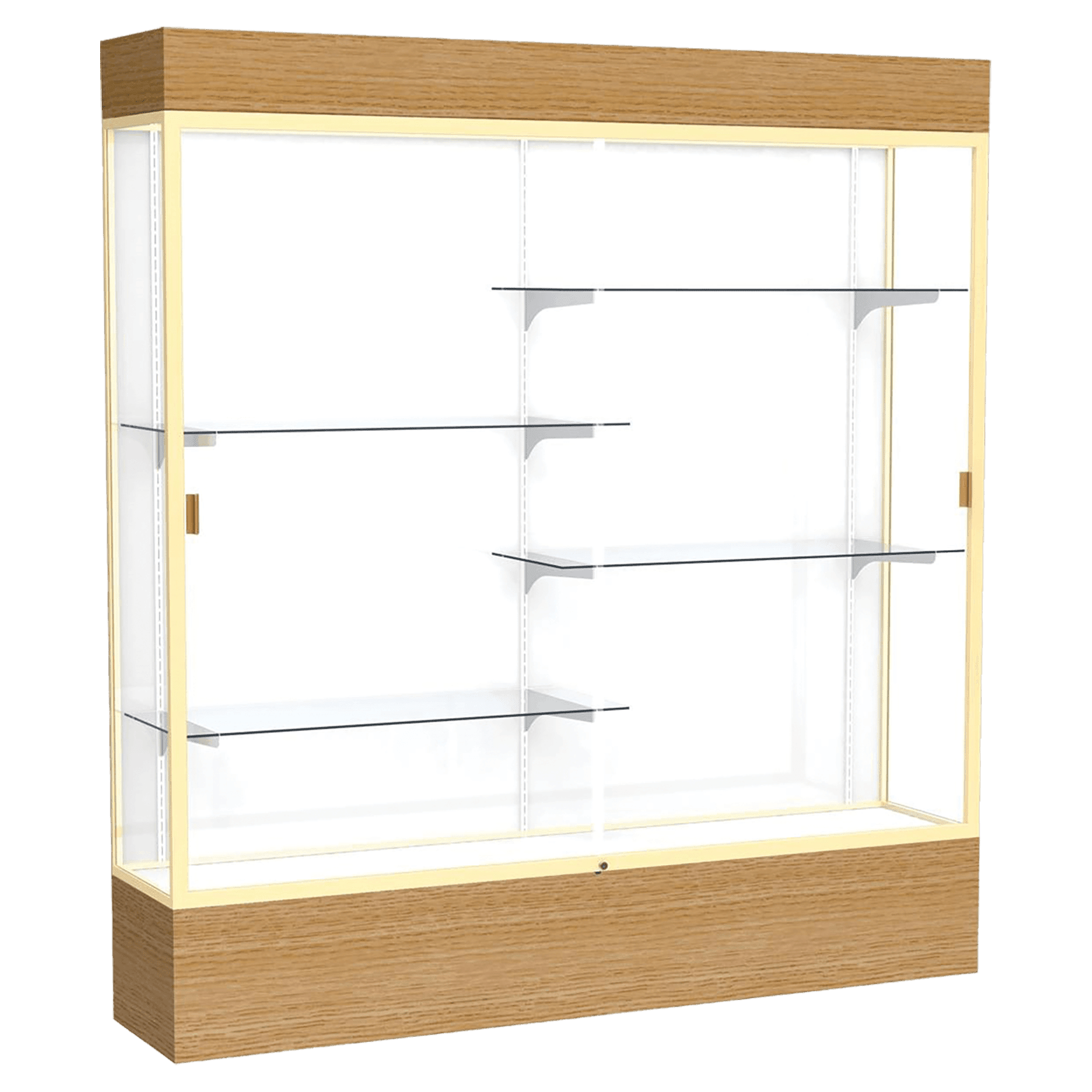 Reliant Series Display Case with Lighting - DSPL07