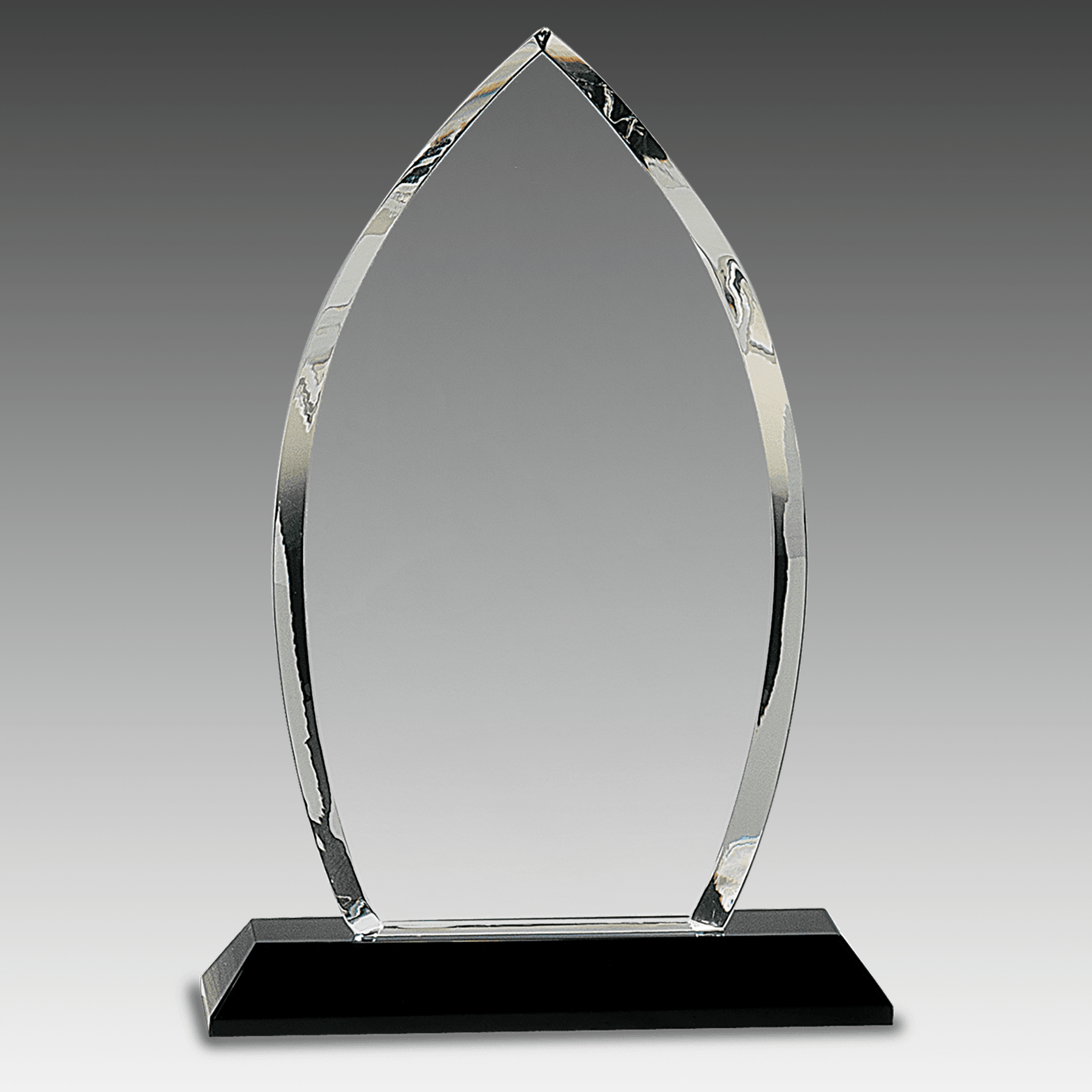 9.5" Clear Crystal Oval on Black Pedestal Base