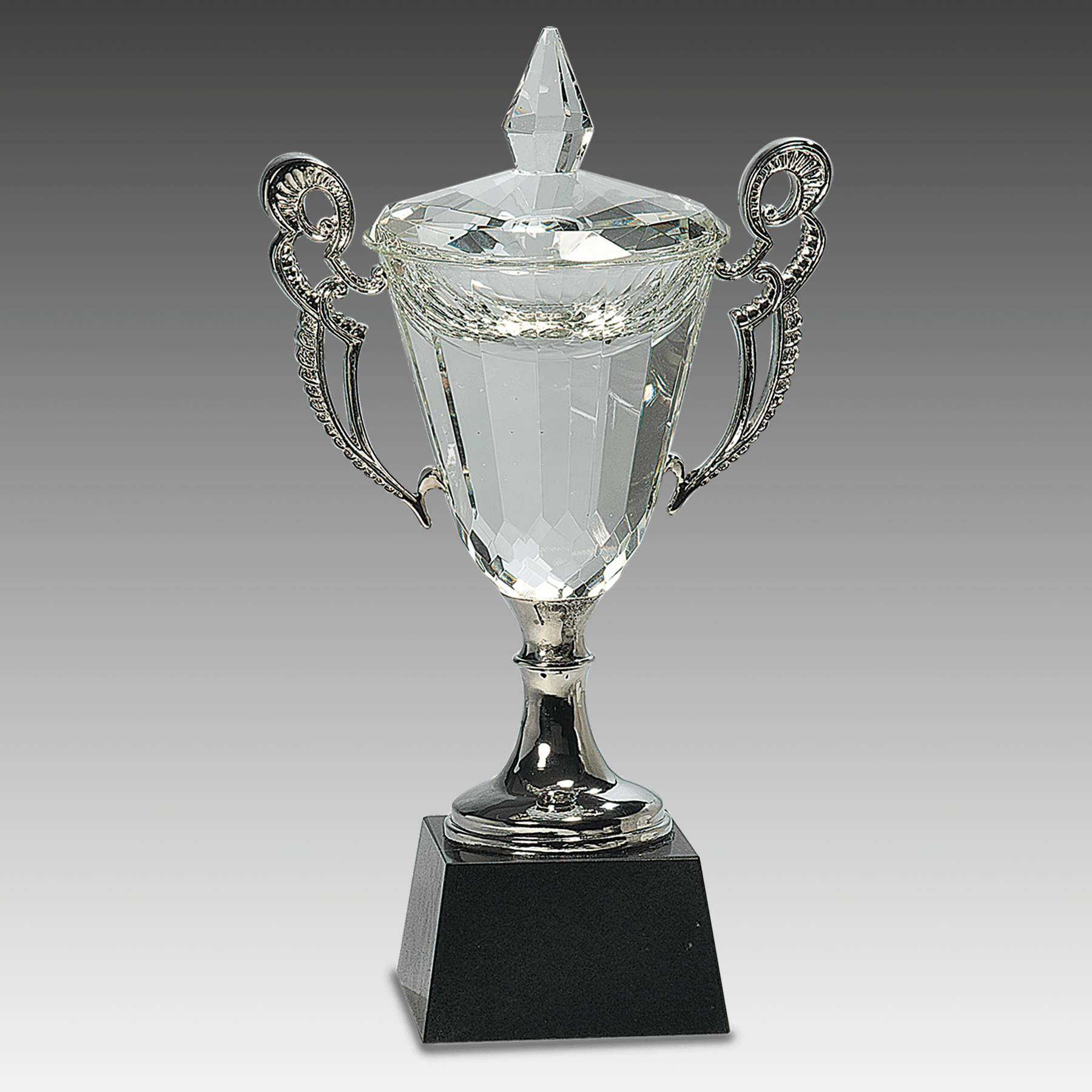 11.25" Crystal Cup with Silver Handles and Stem