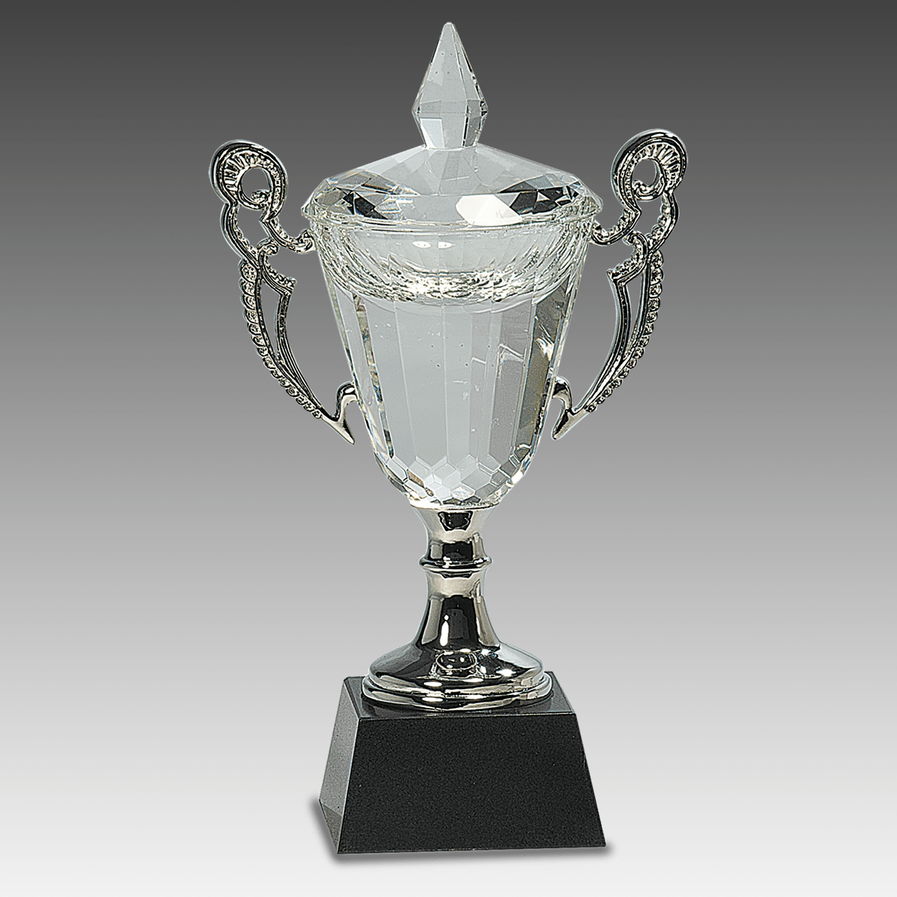 9.5" Crystal Cup with Silver Handles and Stem