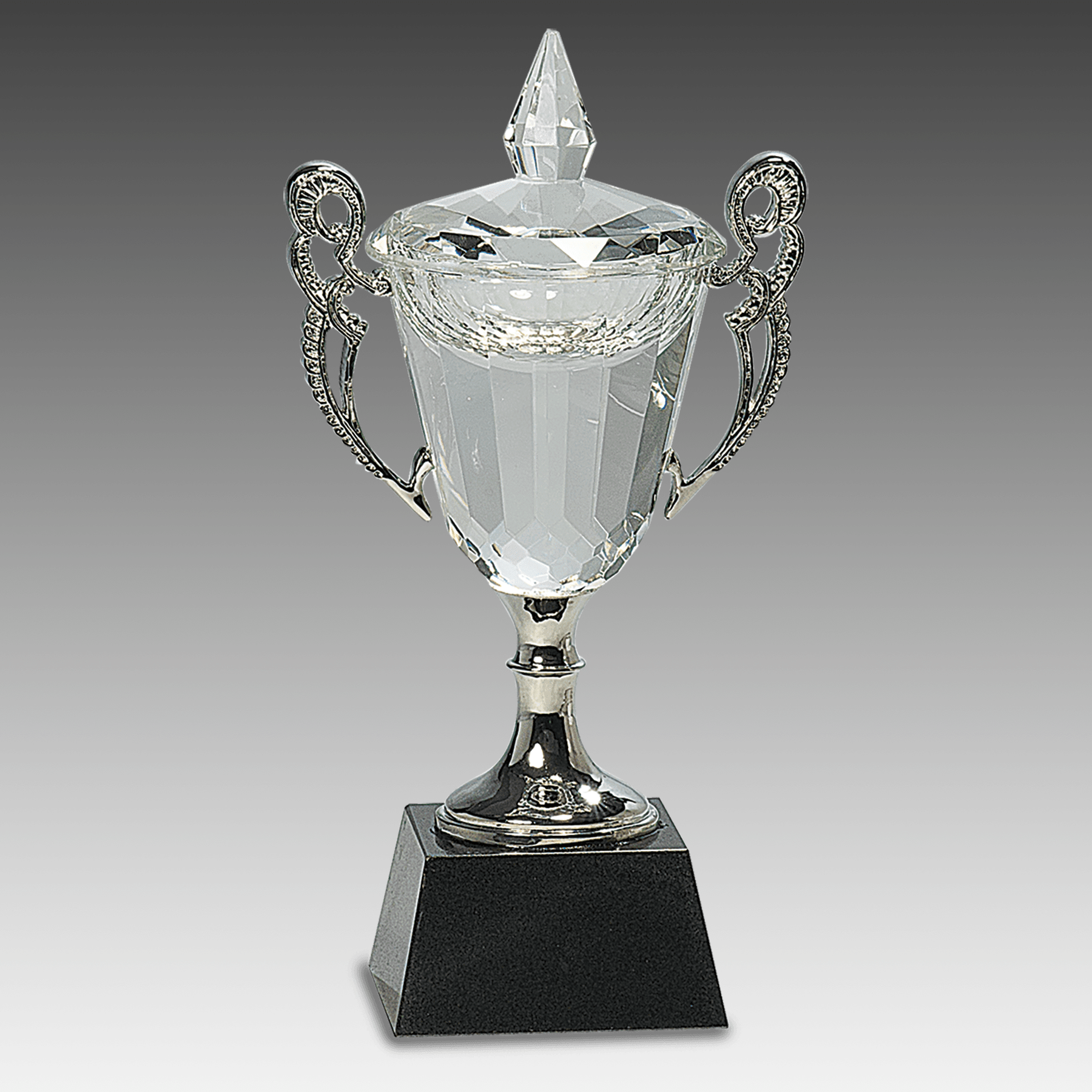 8" Crystal Cup with Silver Handles and Stem