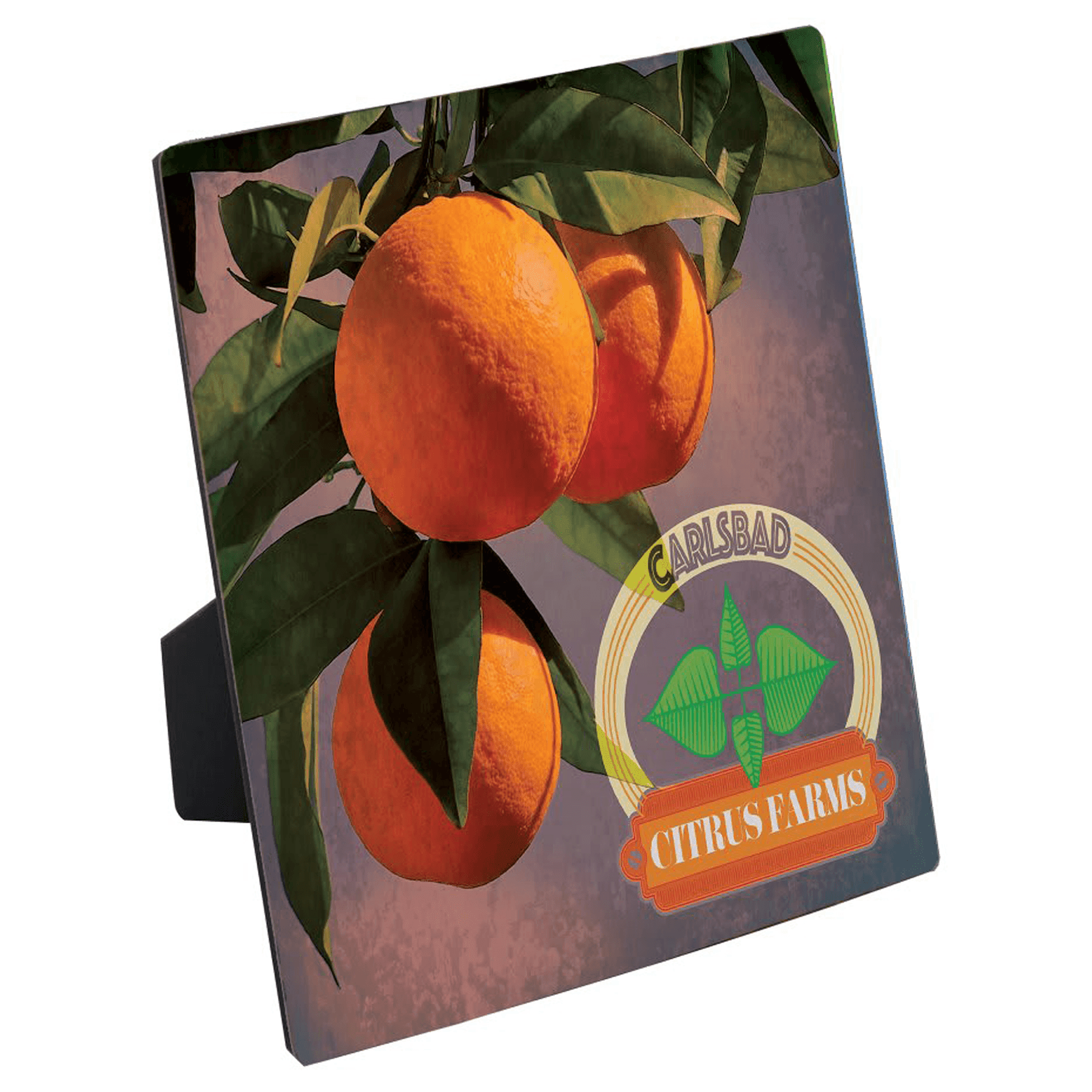 ChromaLuxe Flat Top Photo Panel with Easel - SS16