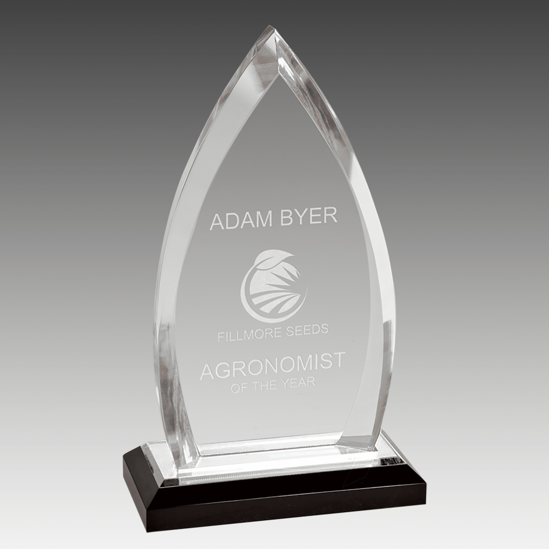 8.75" Silver Oval Impress Acrylic