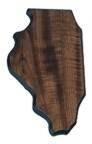Walnut Finish Black Edge Illinois State Plaque