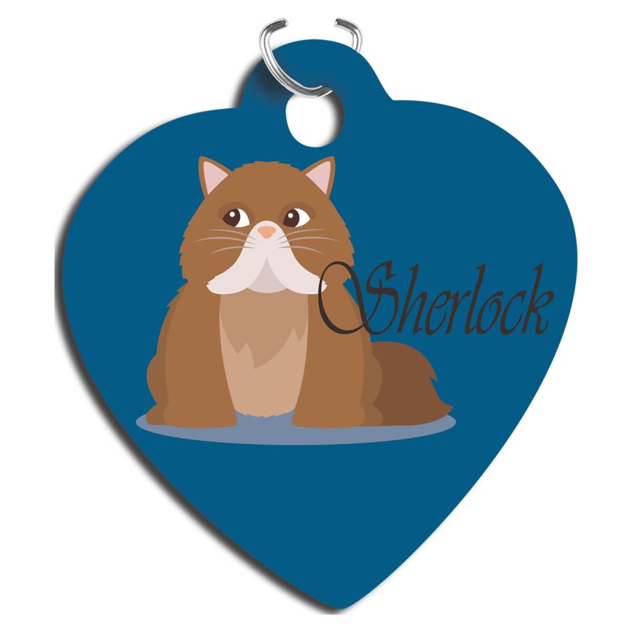 Gloss Aluminum Pet Tag - PT06