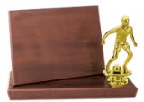Value Standup Plaque - PVU02