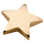 Gold Metal Star Paperweight