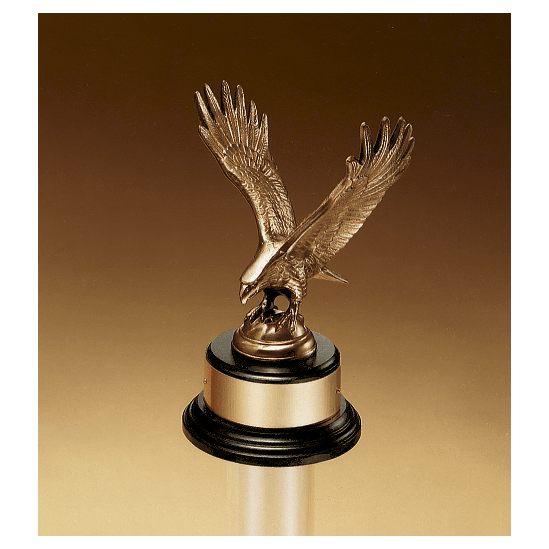 Antique Bronze Eagle Casting on a Black Piano Finish Base
