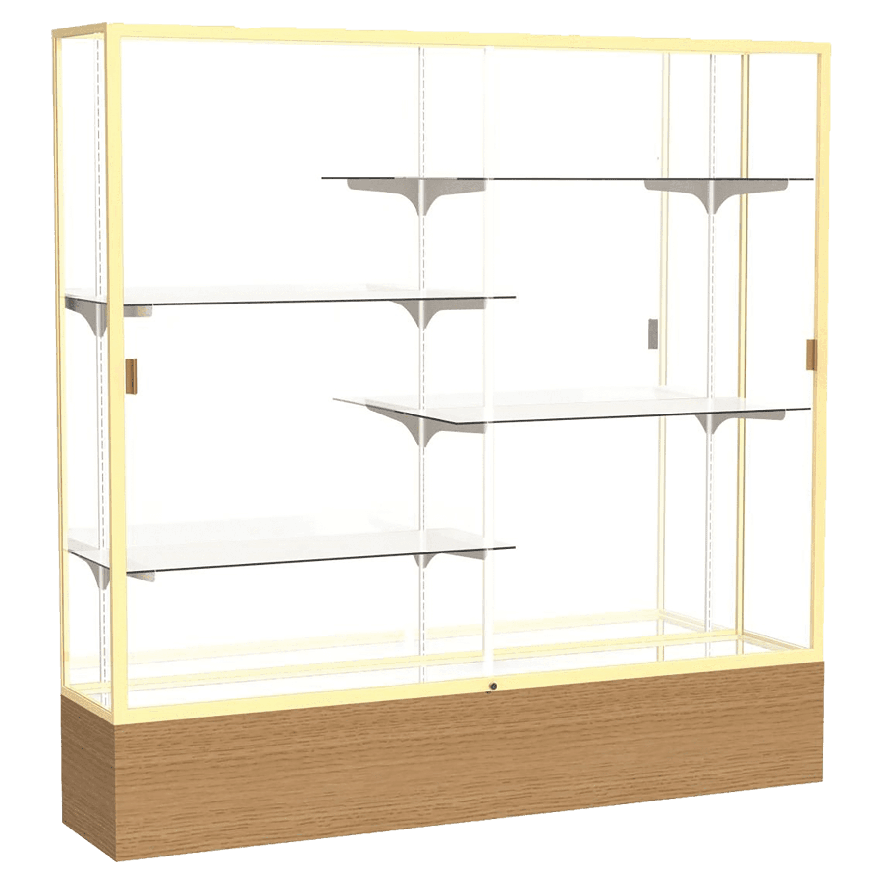 Reliant Series Display Case - DSPL06