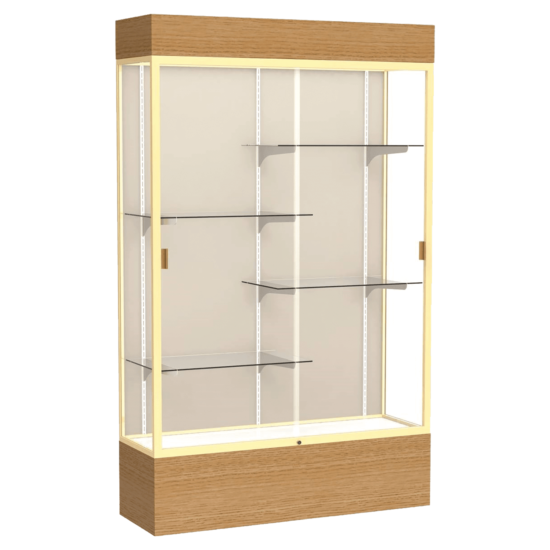 Reliant Series Display Case with Lighting - DSPL07