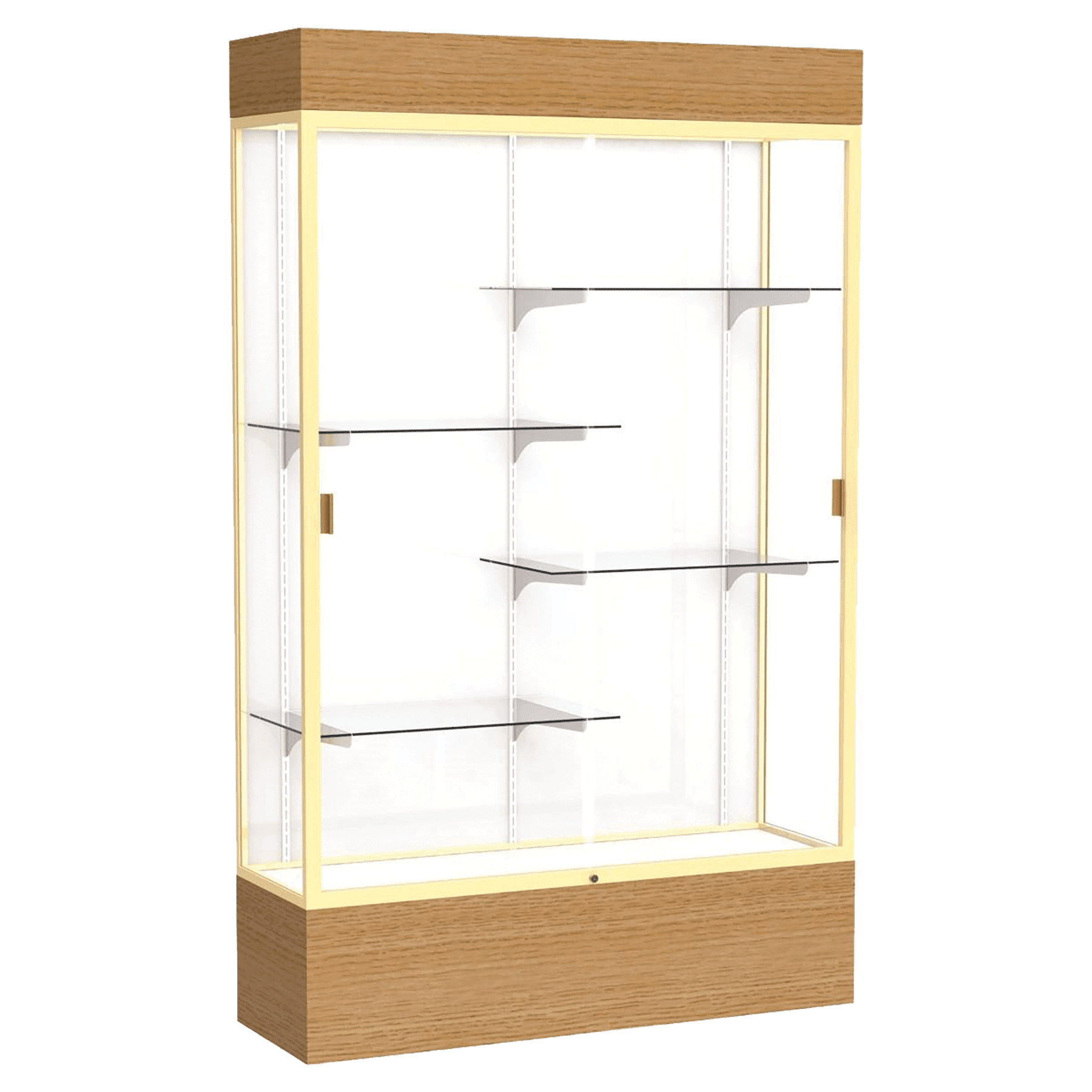 Reliant Series Display Case with Lighting - DSPL07