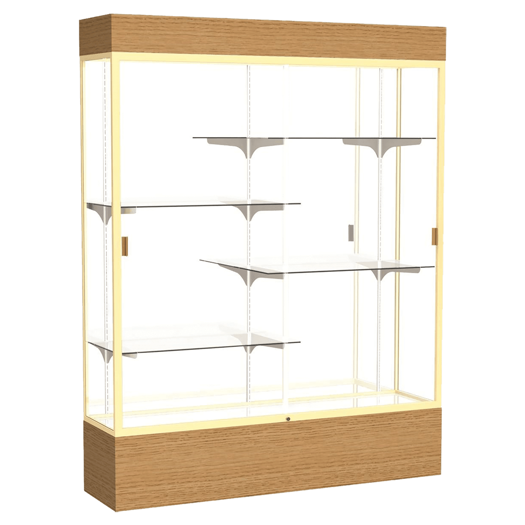 Reliant Series Display Case with Lighting - DSPL07
