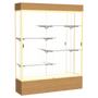 Reliant Series Display Case with Lighting - DSPL07