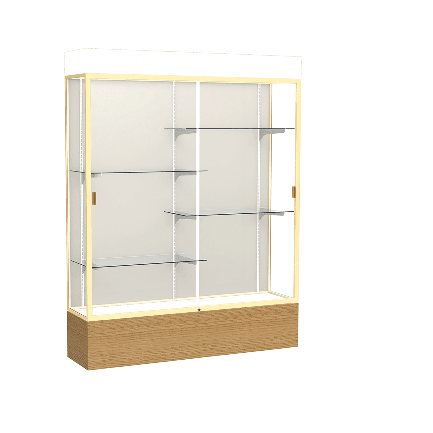 Reliant Series Display Case with Lighting - DSPL07