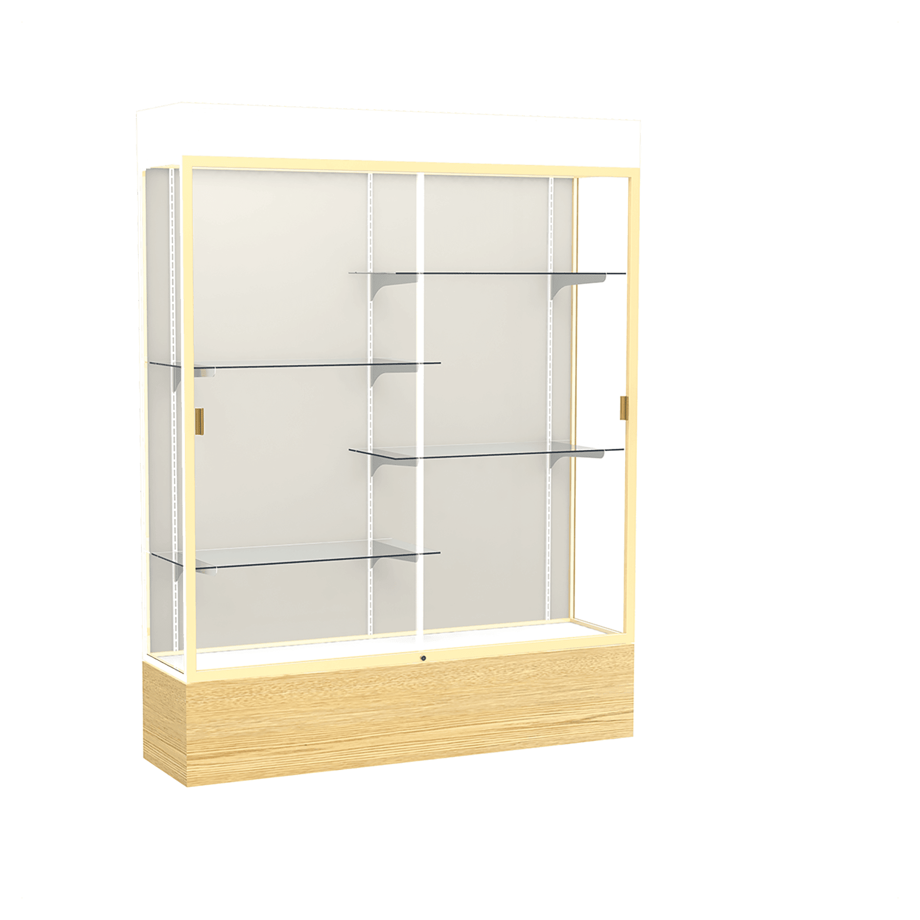 Reliant Series Display Case with Lighting - DSPL07