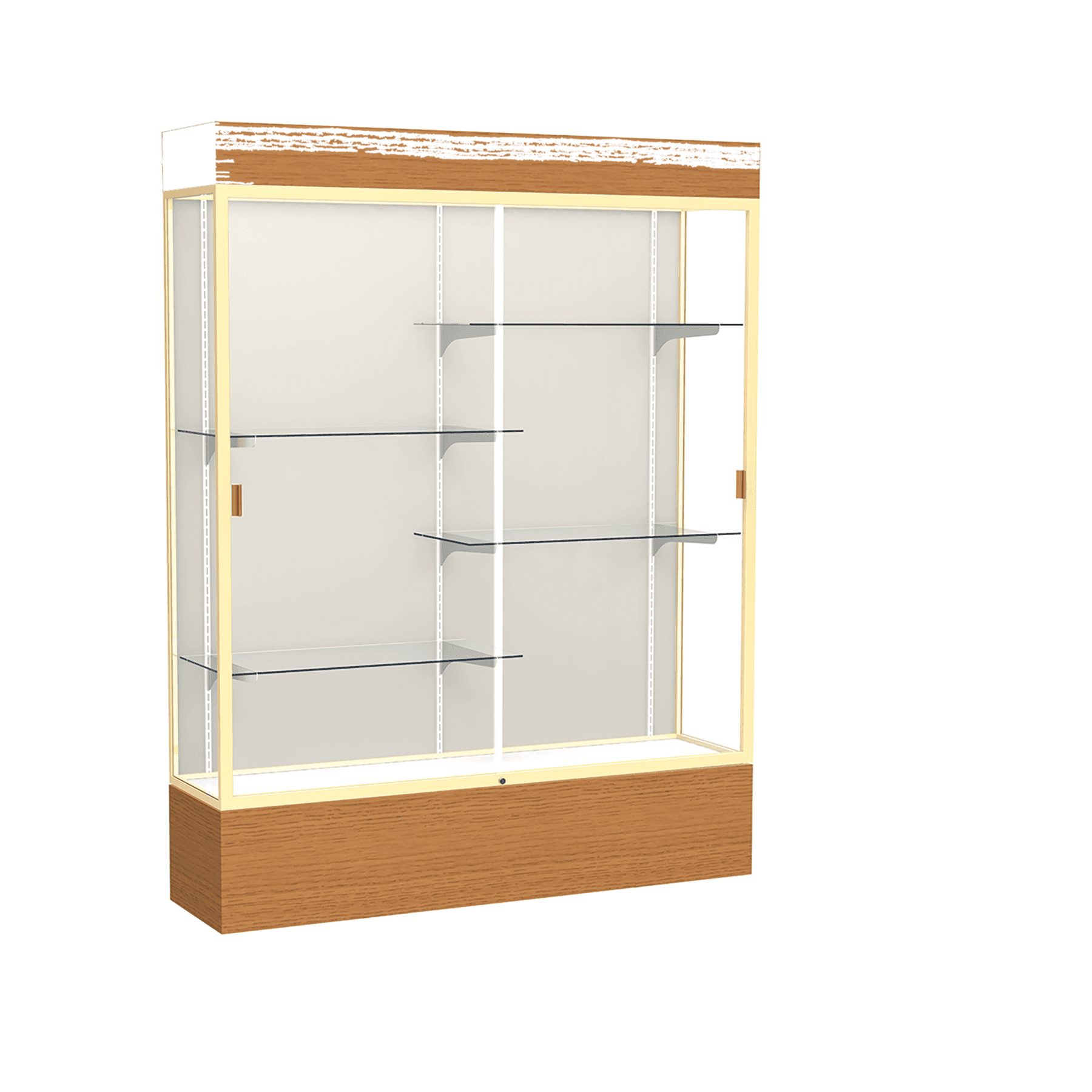 Reliant Series Display Case with Lighting - DSPL07
