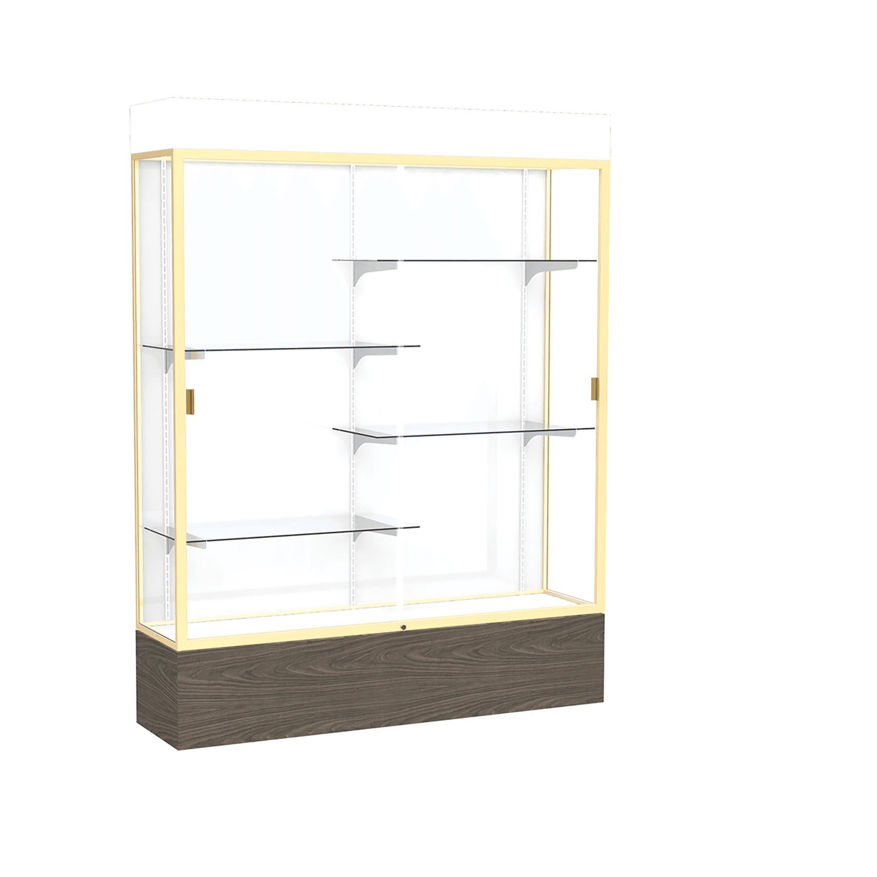 Reliant Series Display Case with Lighting - DSPL07