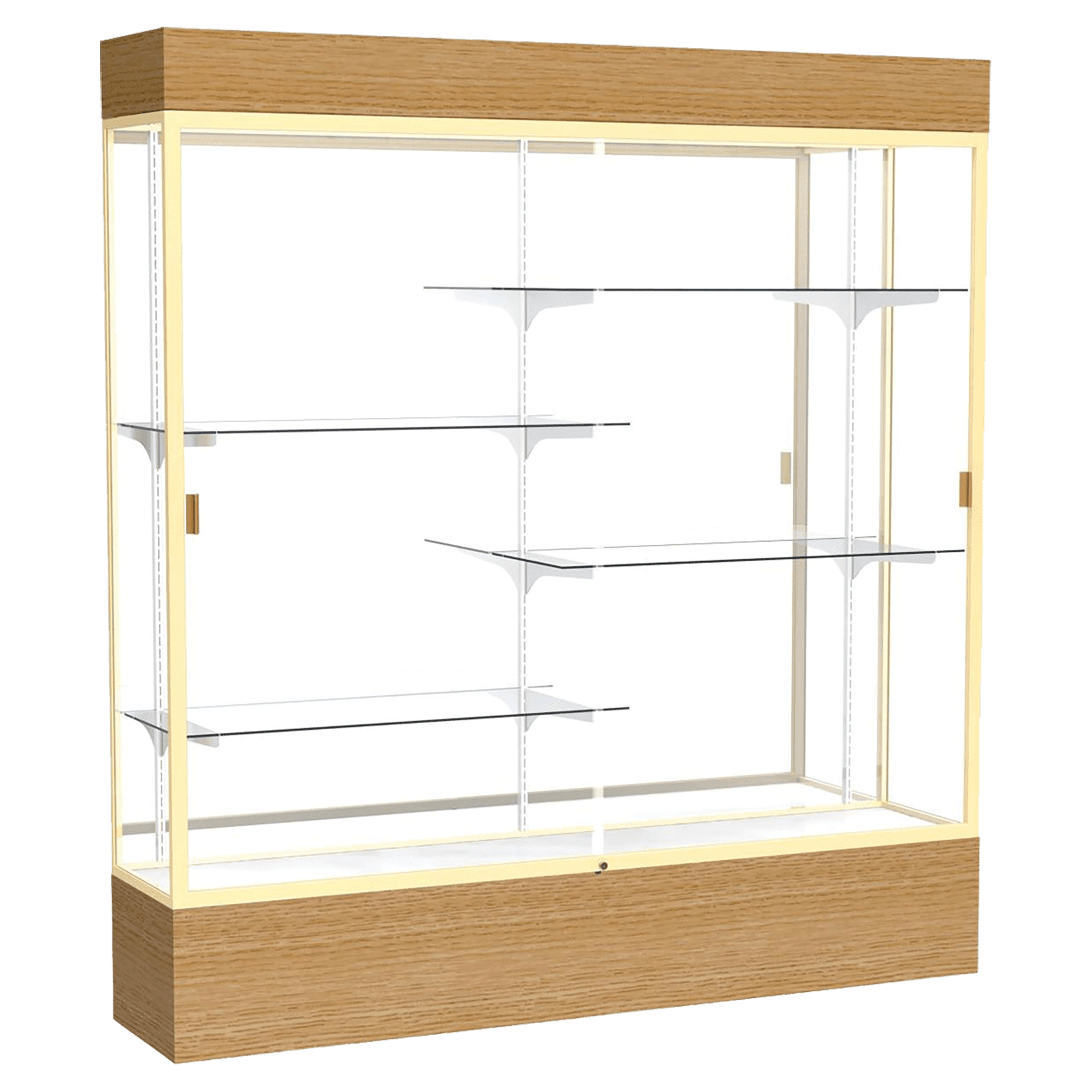 Reliant Series Display Case with Lighting - DSPL07