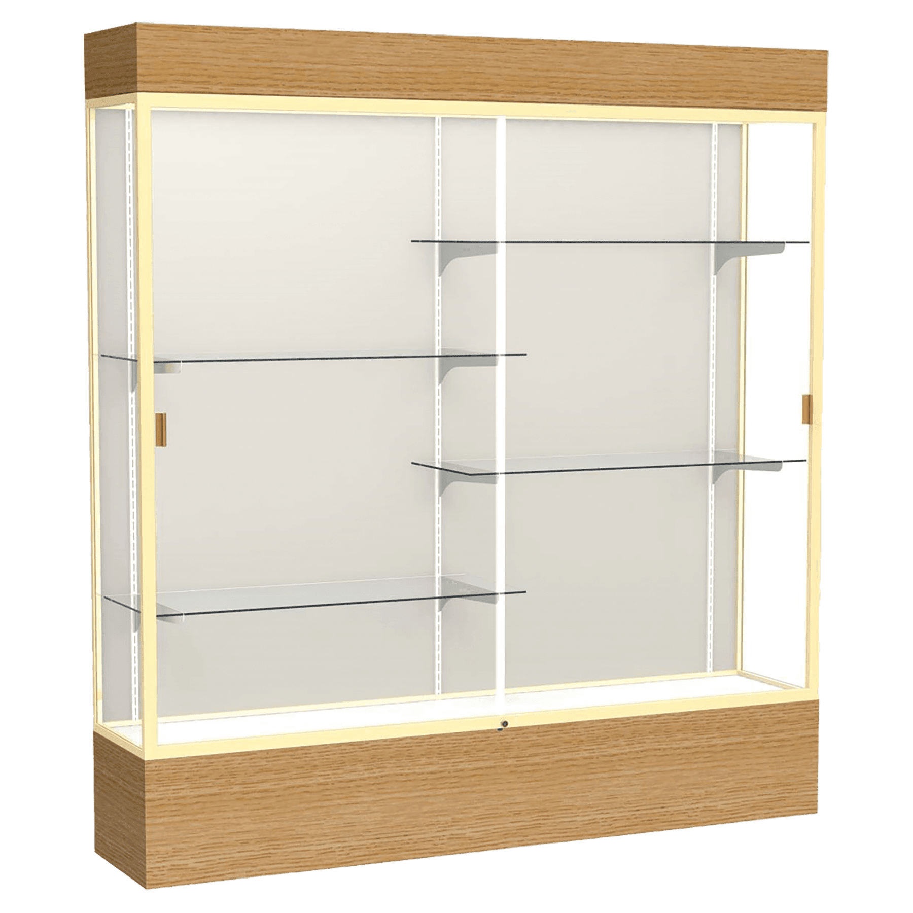 Reliant Series Display Case with Lighting - DSPL07