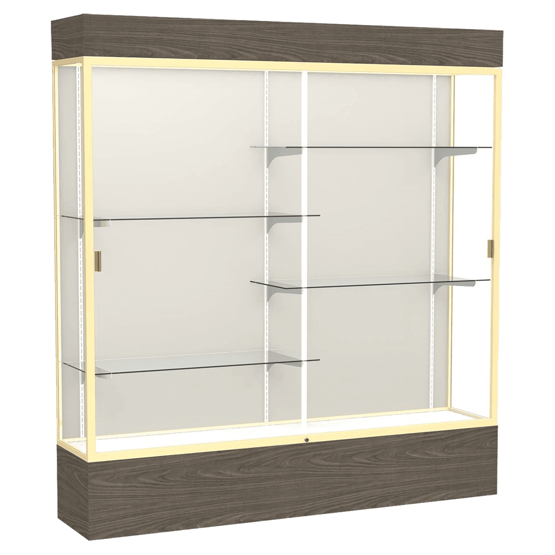 Reliant Series Display Case with Lighting - DSPL07