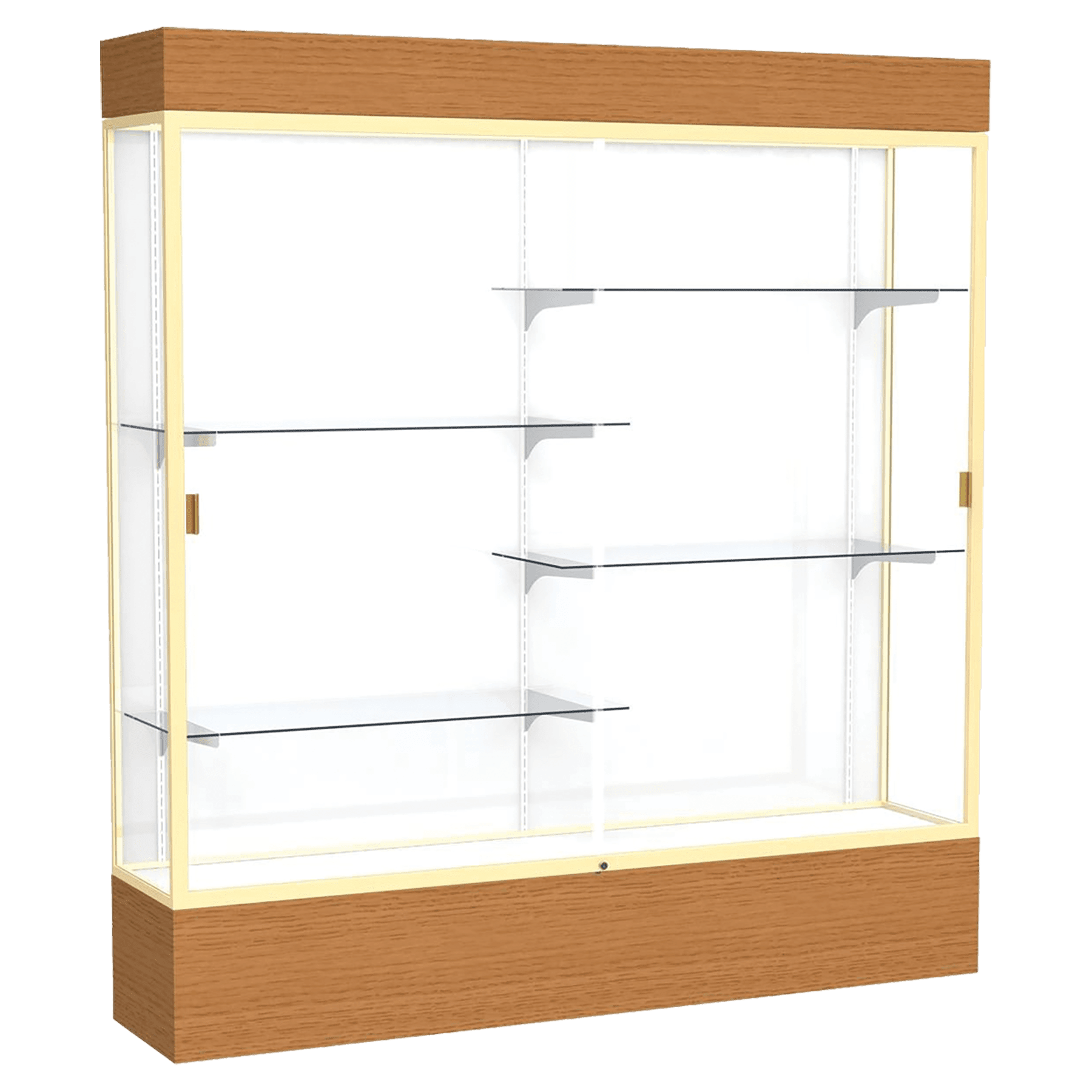 Reliant Series Display Case with Lighting - DSPL07