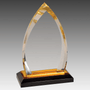 7.75" Gold Oval Impress Acrylic