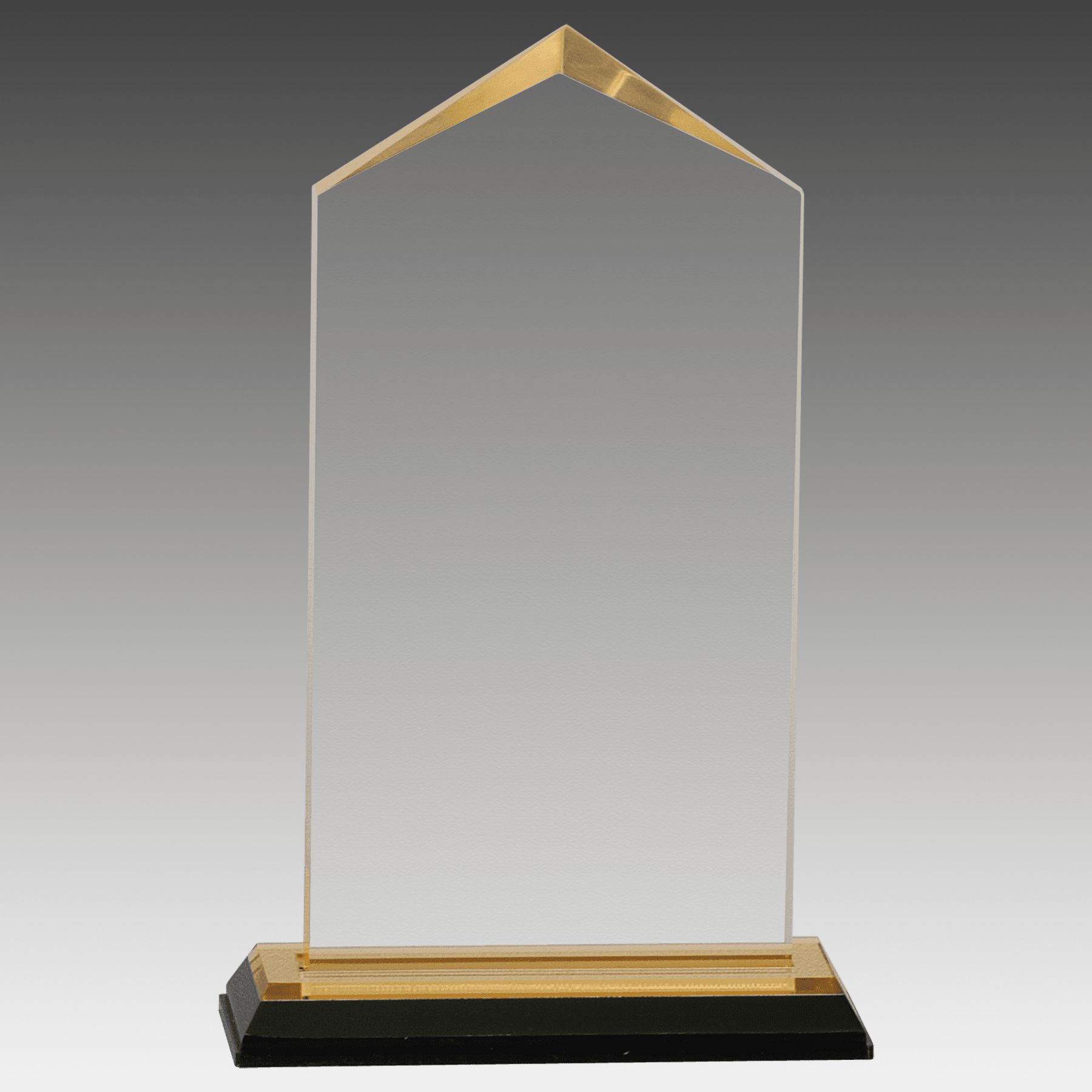 3.5" x 7.5" Gold Jewel Impress Acrylic
