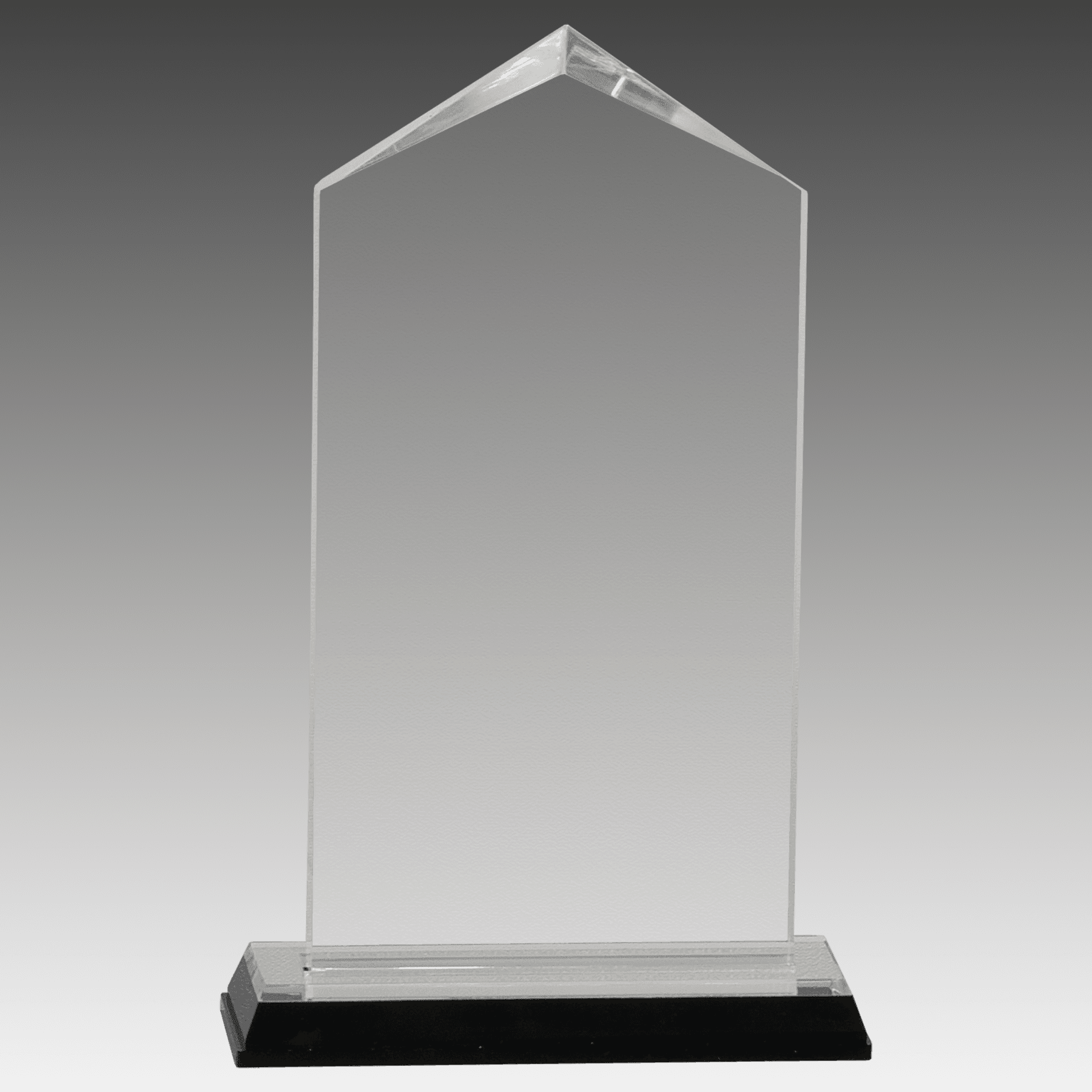 3.5" x 7.5" Silver Jewel Impress Acrylic