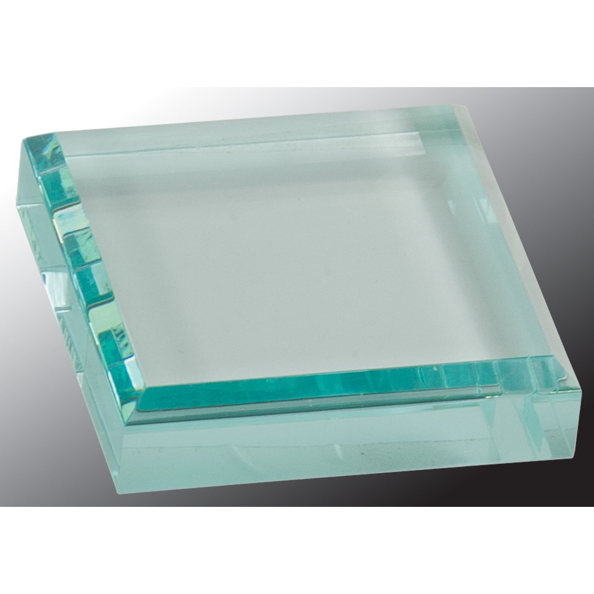 Acrylic Paperweight - PWGT01