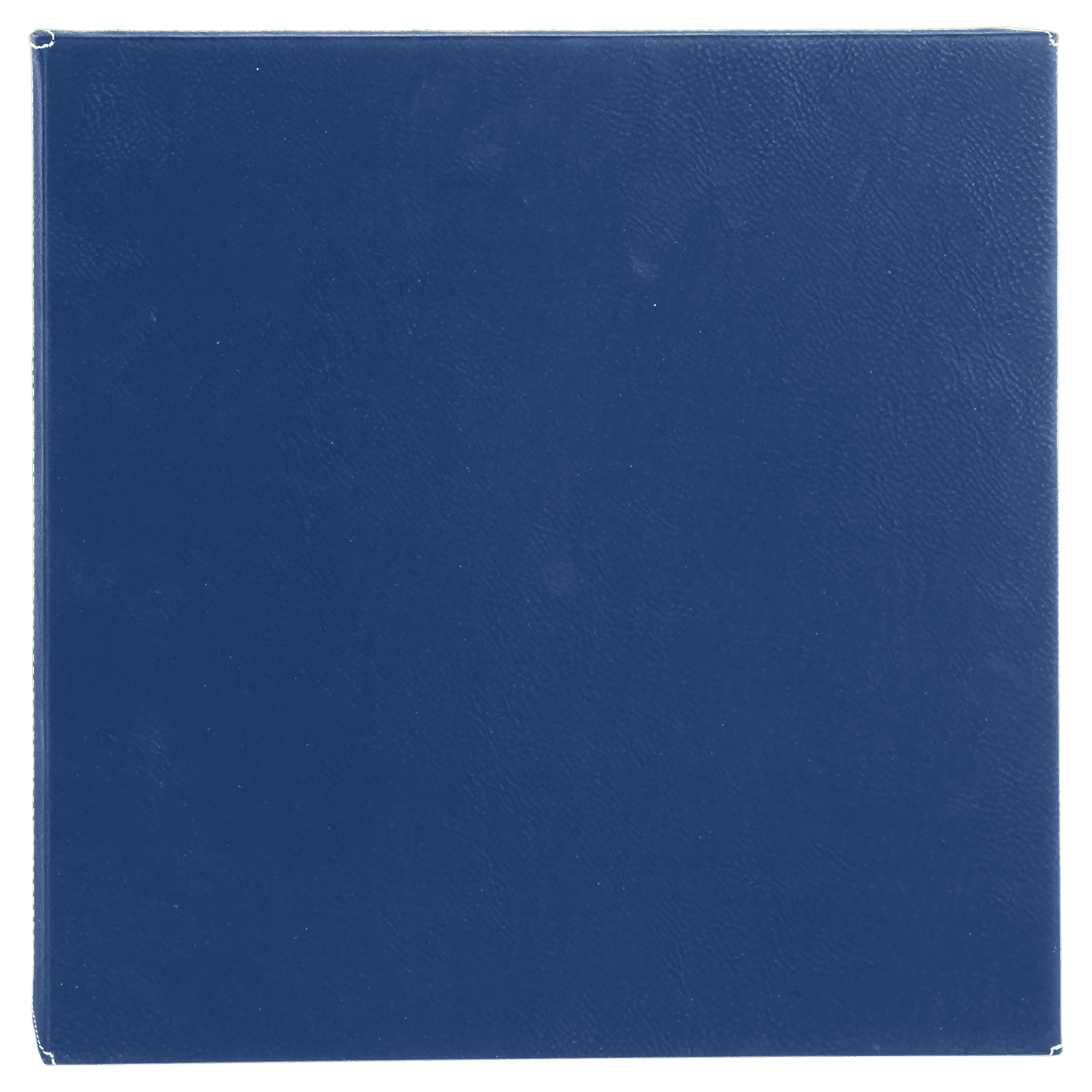 Leatherette Wall Decor with Sawtooth Hanger - SW14