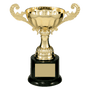 Completed Metal Cup Trophy on Plastic Base - ACU07