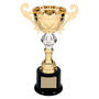 Metal Cup with Handles Trophy on Plastic Base - ACU09