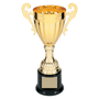 Metal Cup Trophy on Plastic Base - ACU10