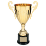Metal Cup Trophy on Plastic Base - ACU10