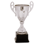 Metal Cup with Handles Trophy on Plastic Base - ACU14
