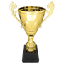 Metal Cup with Handles Trophy on Plastic Base - ACU15