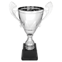 Metal Cup with Handles Trophy on Plastic Base - ACU15