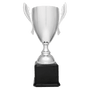 Metal Cup Trophy on Rosewood Royal Piano Finish Base - ACU19