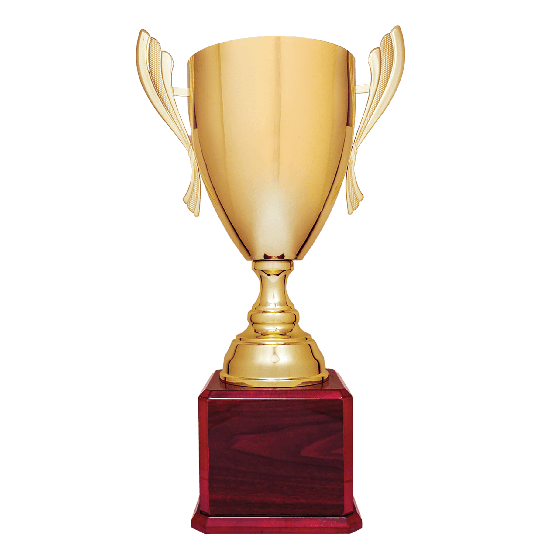Metal Cup Trophy on Rosewood Royal Piano Finish Base - ACU19