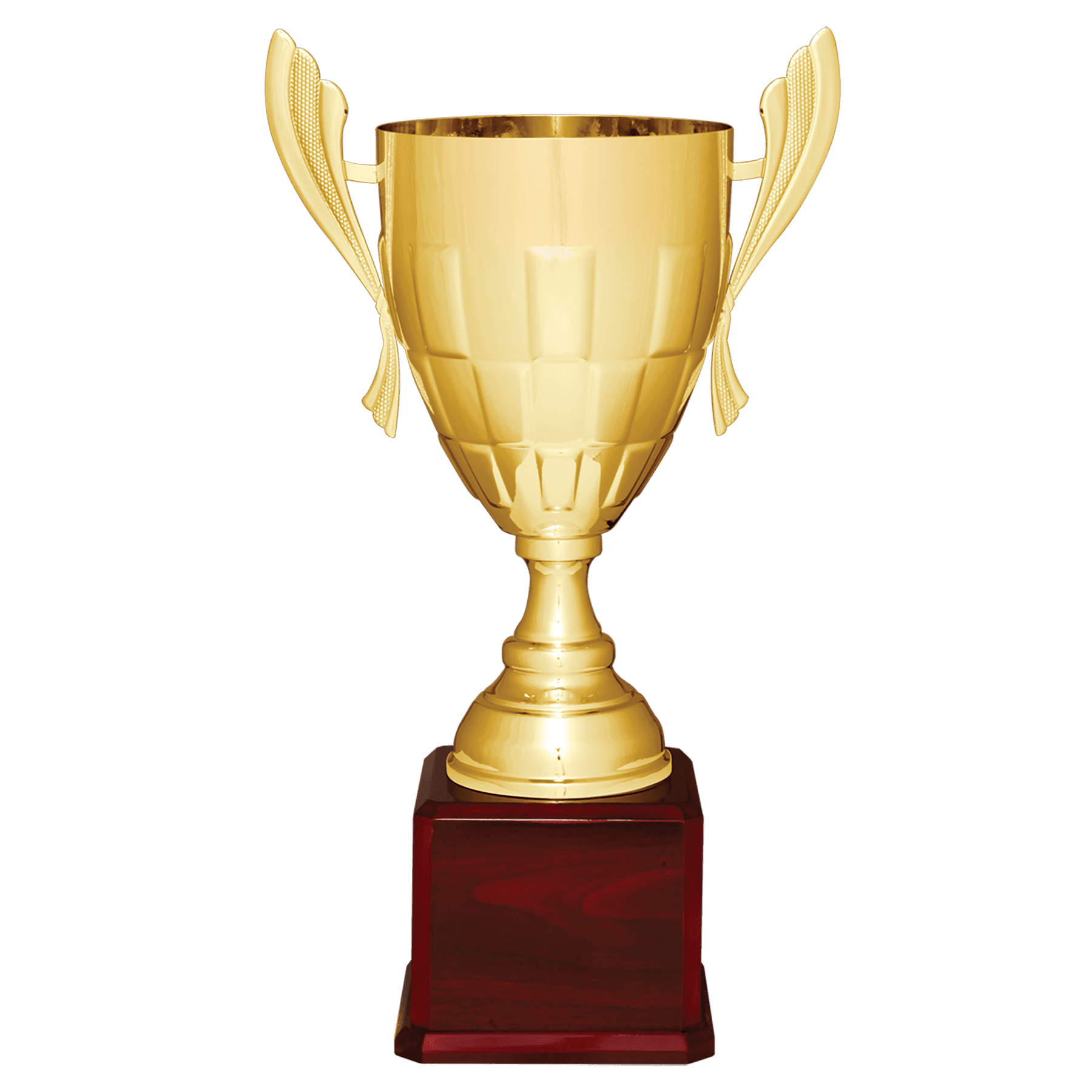 Metal Cup Trophy on Rosewood Royal Piano Finish Base - ACU20