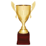 Metal Cup Trophy on Rosewood Royal Piano Finish Base - ACU20