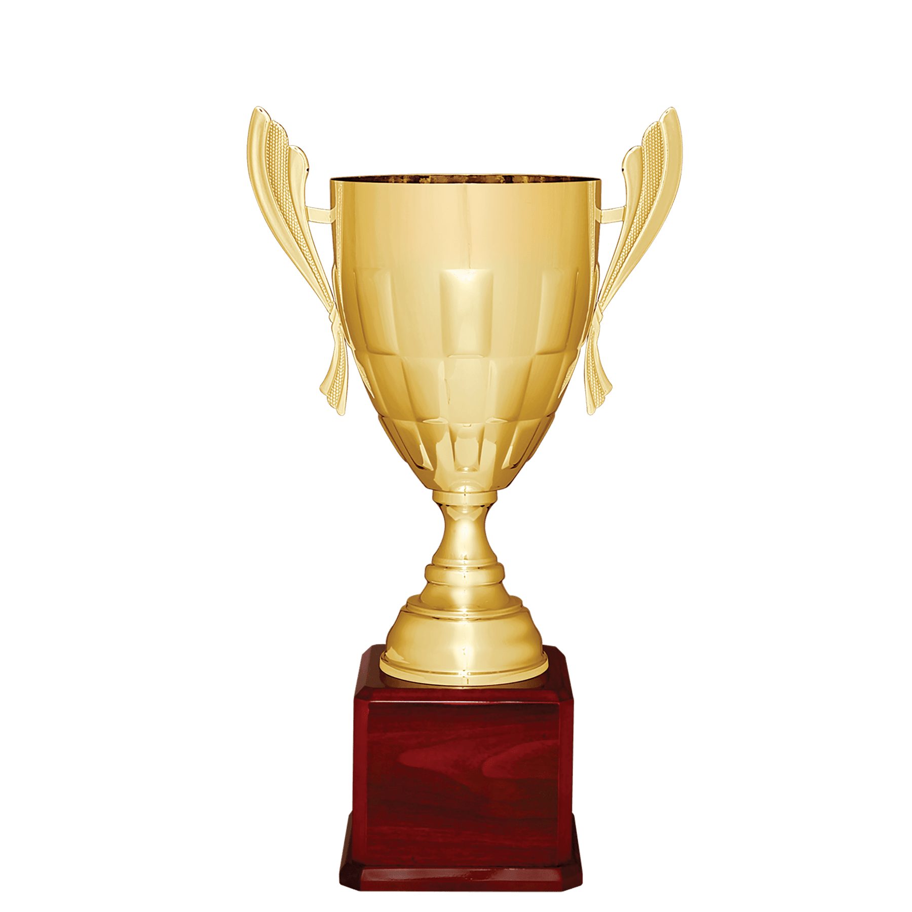 Metal Cup Trophy on Rosewood Royal Piano Finish Base - ACU20