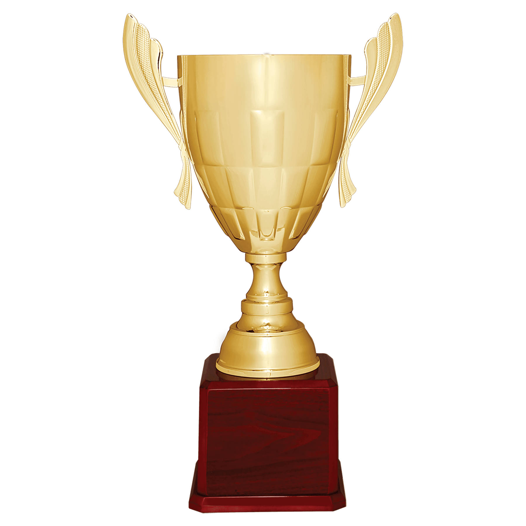 Metal Cup Trophy on Rosewood Royal Piano Finish Base - ACU20
